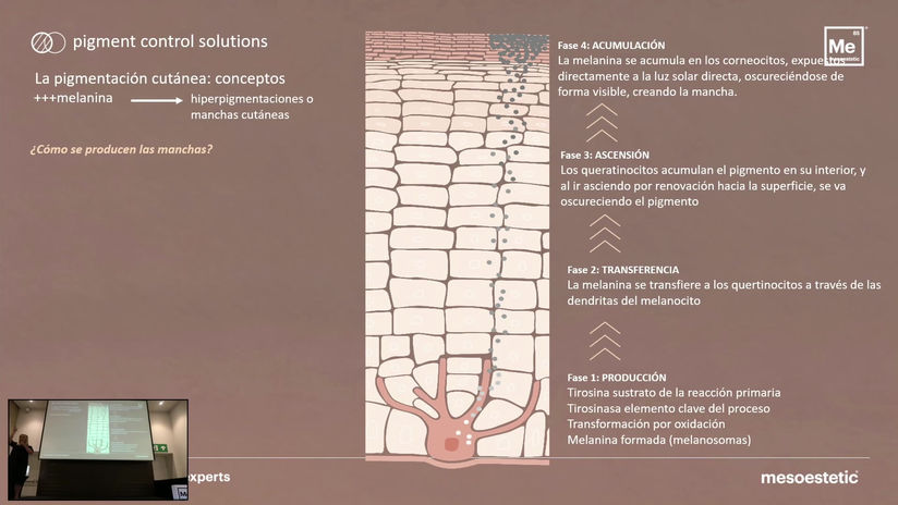 Hiperpigmentaciones Melánicas. -Por Entrenadora internacional Oksana Shadrina